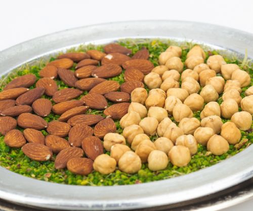 Yörükoğlu Atom (İç Görsel)